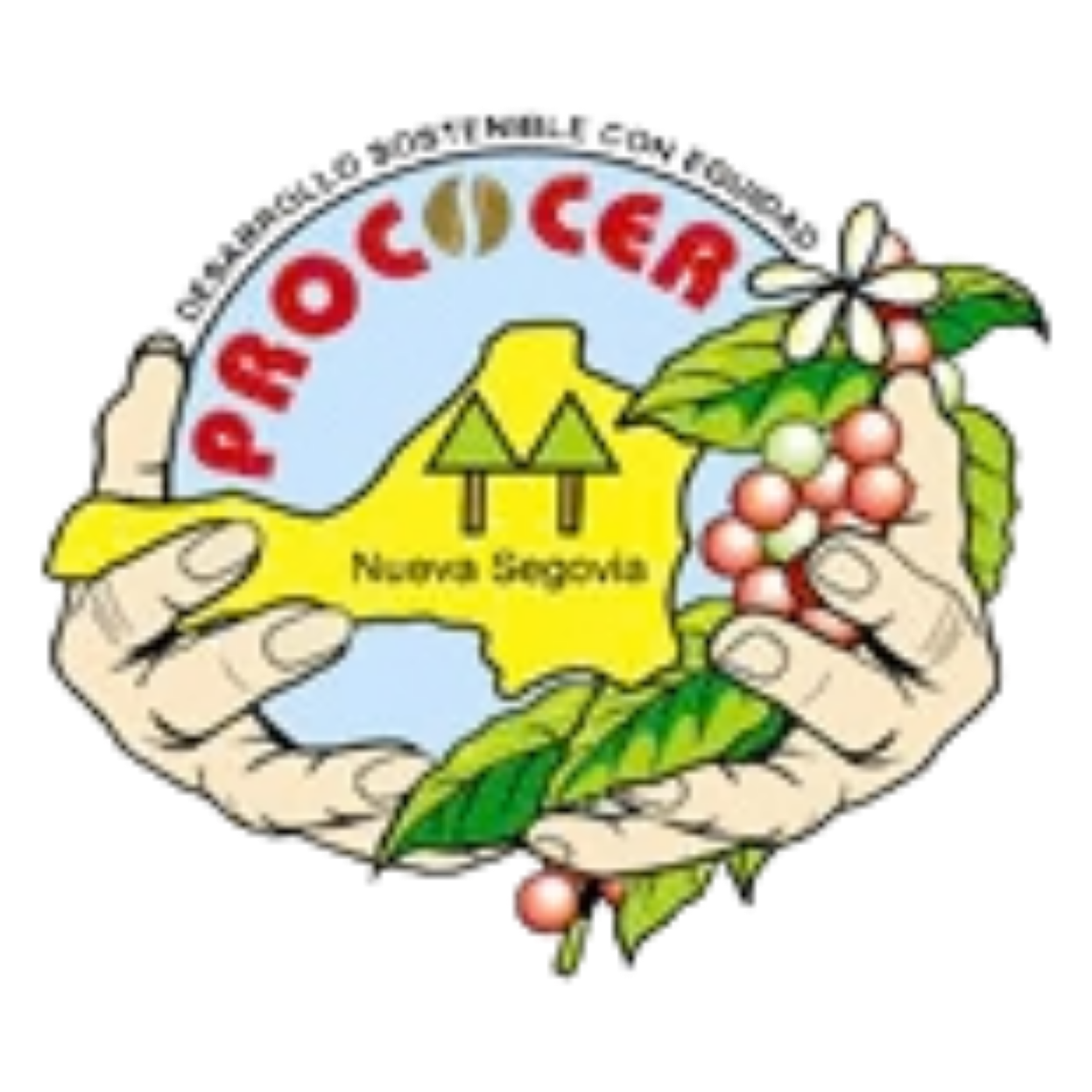 PROCOCER, R.L.